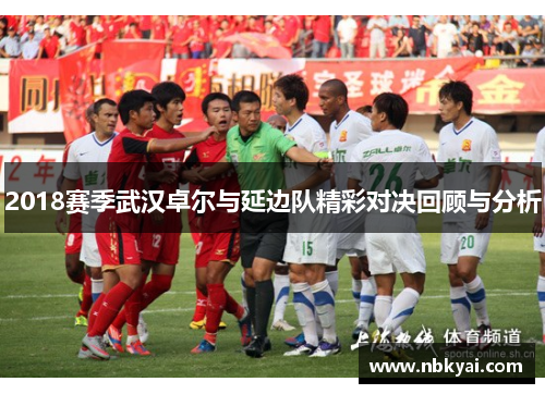 2018赛季武汉卓尔与延边队精彩对决回顾与分析