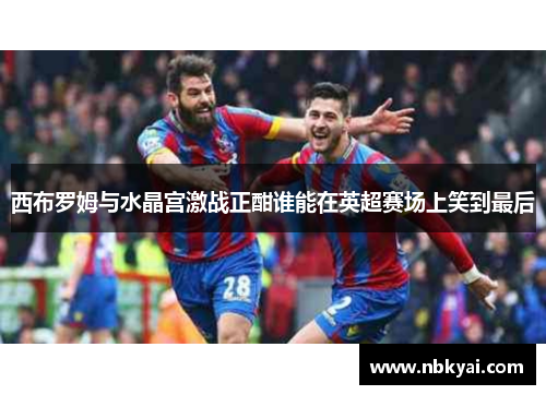 西布罗姆与水晶宫激战正酣谁能在英超赛场上笑到最后